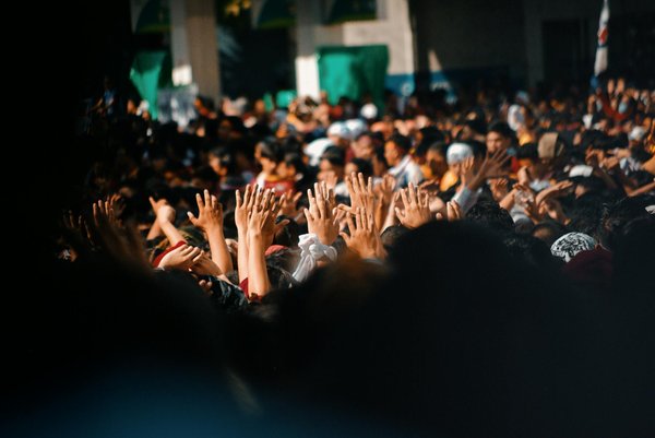 Vers de farine pour les poules : nutrition essentielle à découvrir